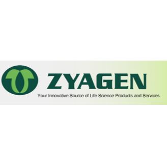 Zyagen 小鼠总CDNA标准品