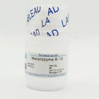 离析酶R-10