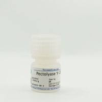 果胶酶 Y-23