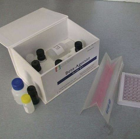 P-5-羧酸还原酶（P5CR）测试盒