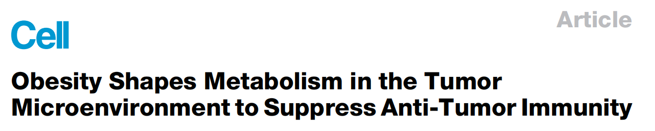 Cell|【单细胞多组学】揭示——肥胖竟会抑制肿瘤免疫？ 