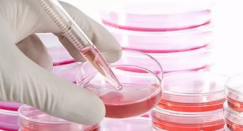 细胞培养操作具体步骤