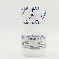 纤维素酶 R-10