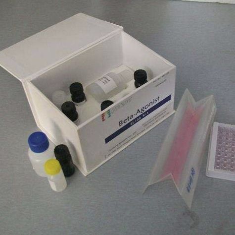 二胺氧化酶测试盒