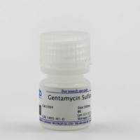 硫酸庆大霉素