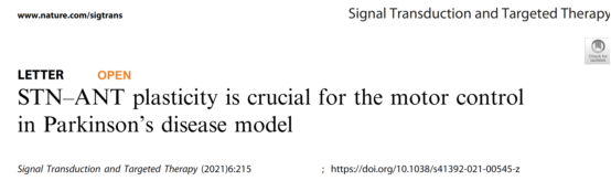 【客户文章】丘脑底核-丘脑前核环路可塑性参与帕金森病模型鼠运动障碍机制研究