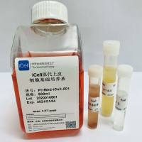 iCell原代上皮细胞培养体系/细胞完全培养基