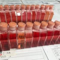 大鼠软骨细胞/免疫荧光鉴定/镜像绮点(Cellverse)