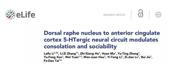 【客户文章】中缝背核-前扣带回5-HT能神经环路参与调控安慰行为及社会性