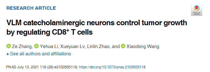 【客户文章】王晓东团队在神经肿瘤免疫调节研究领域取得进展