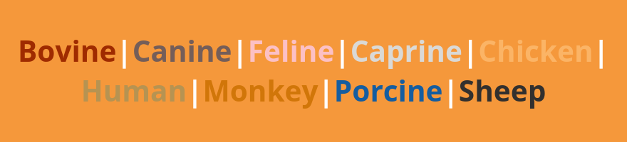 还在苦寻不常见物种样本的检测抗体吗？Biorbyt丰富抗体库帮您解决