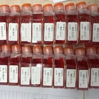 猪乳腺上皮细胞/免疫荧光鉴定/镜像绮点（Cellverse）