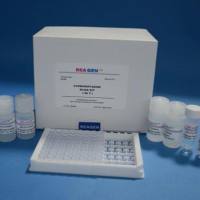 脲酶（UE）测试盒