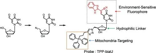 生物传感器设计的新思路