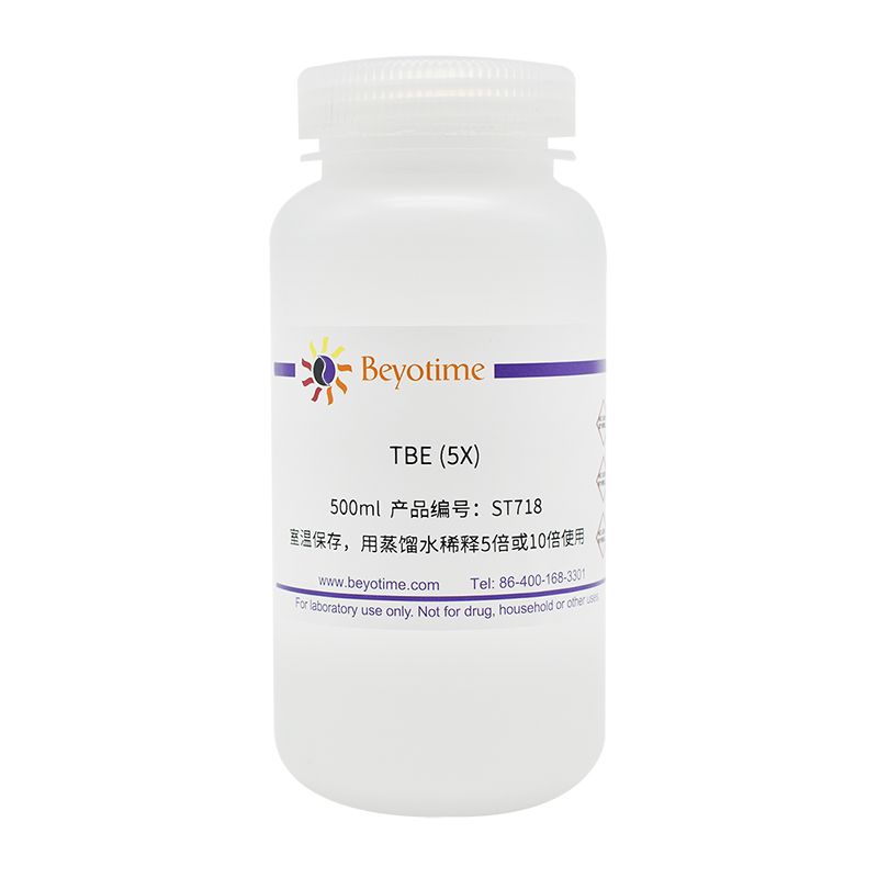 TBE (5X)