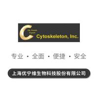 FtsZ Protein (Enterococcus faecalis recombinant