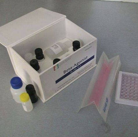 总抗氧化能力（DPPH法）生化检测试剂盒