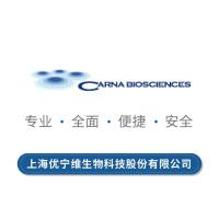 MAP2K7[inactive mutant]