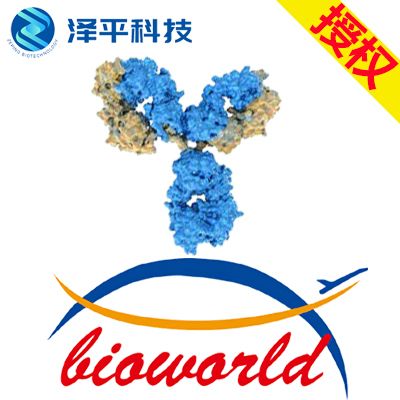 Bioworld MMP9 (W680) polyclonal antibody