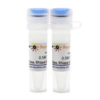 0.5M DTT (DNase, RNase & Protease free)