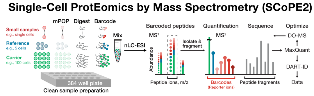 单细胞蛋白质组学：让细胞个体研究更加精细