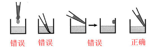 小鼠caspase-3elisa检测试剂盒样本实验前准备