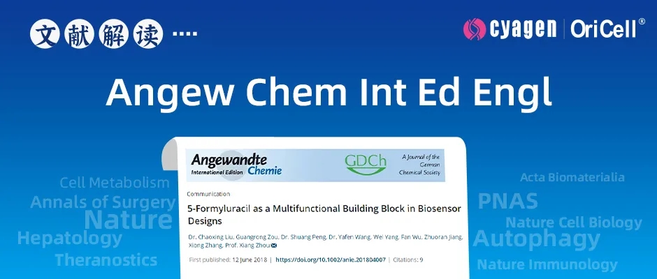 生物传感器设计的新思路