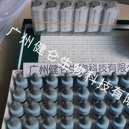 日本seiken绿脓菌菌诊断血清套装