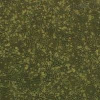 EJ138 人膀胱癌细胞