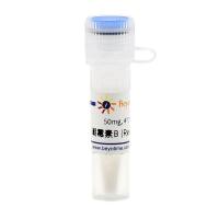 Hygromycin B(潮霉素B)