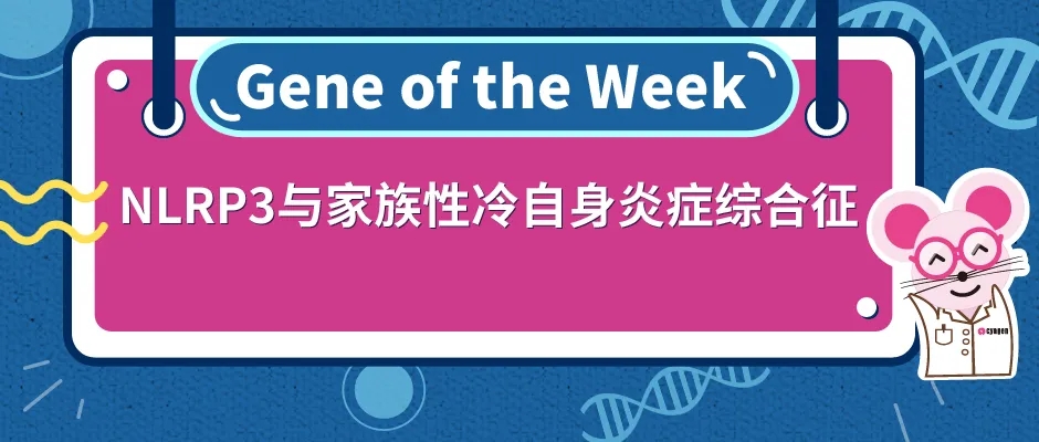 NLRP3基因敲除小鼠与家族性冷自身炎症综合征