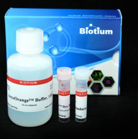 AccuOrange 蛋白定量试剂盒 Biotium 30071-T