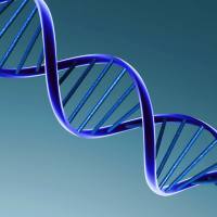 高尔基体蛋白提取试剂盒