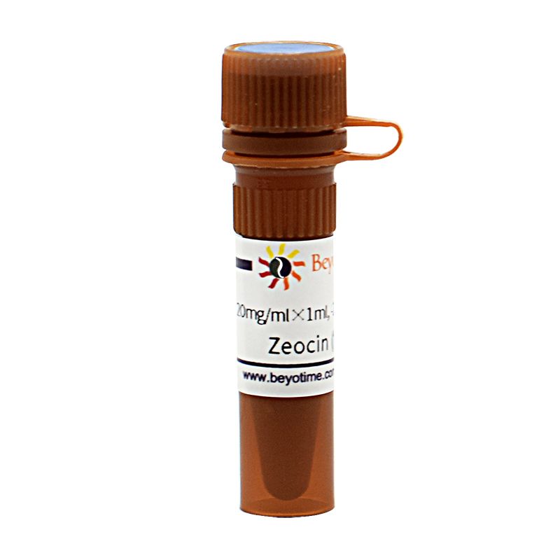 Zeocin (博莱霉素)