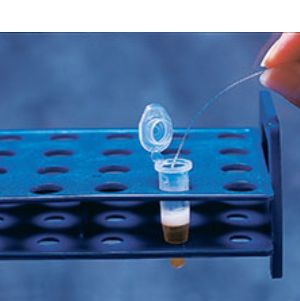 大小鼠组织温度测量探头,动物组织温度测量仪