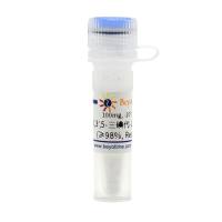 3,3',5-三碘代-L-甲状腺原氨酸(≥98%, Reagent grade)