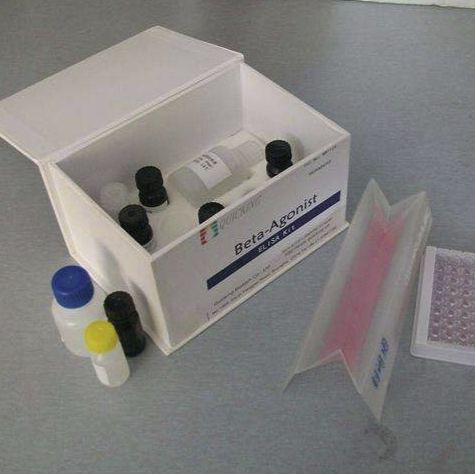 淀粉分支酶（SBE）生化试剂盒