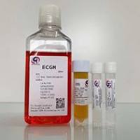 ECGM内皮细胞培养基