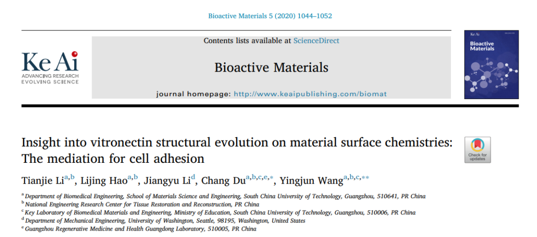 骨髓间充质干细胞及相关培养基如何为科研助力？
