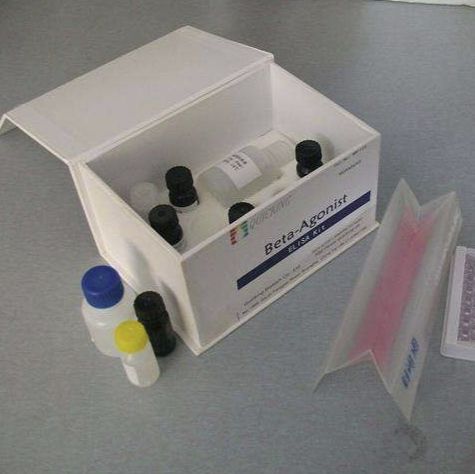 磷脂酶C（PLC）测试盒