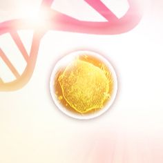 基因敲除细胞株丨KO细胞株