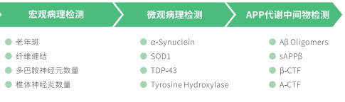 产品细节图片6