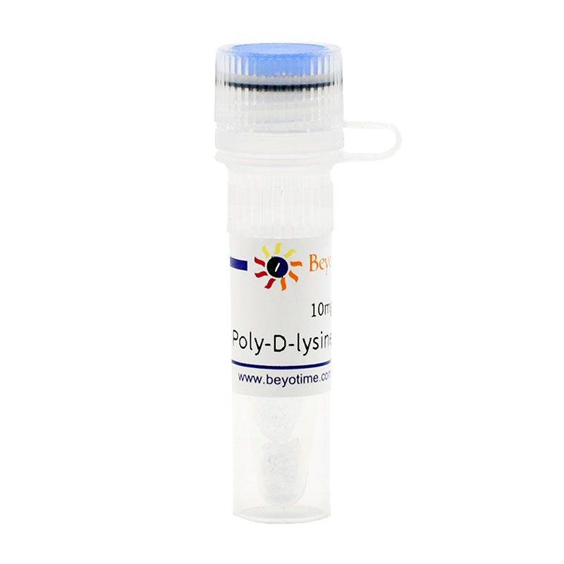 Poly-D-lysine/多聚赖氨酸