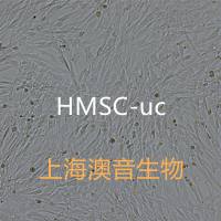HMSC-uc/HUMSC脐带来源干细胞/脐带间充质干细胞/脐带干细胞