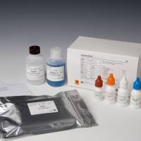 脂氧合酶（LOX）生化试剂盒