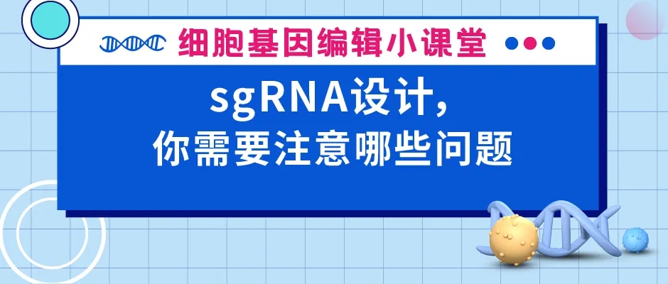 sgRNA设计，你需要注意哪些问题