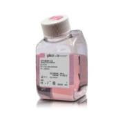 Opti-MEM™ I 减血清培养基