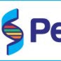 Pel-Freez Ab Rabbit GABAA RECEPTOR b3