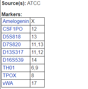 SU-DHL-2【SUDHL2; SUDHL-2; Su-D