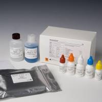 α-葡萄糖苷酶（α - GC）生化试剂盒